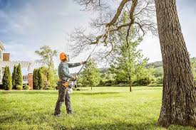 Best Commercial Tree Services  in Lexington Hills, CA